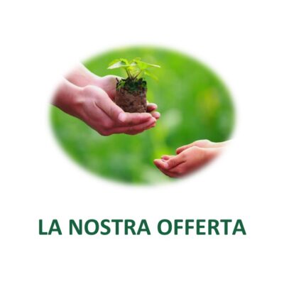 Diapositiva1